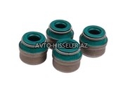 Mercedes klapan salniki